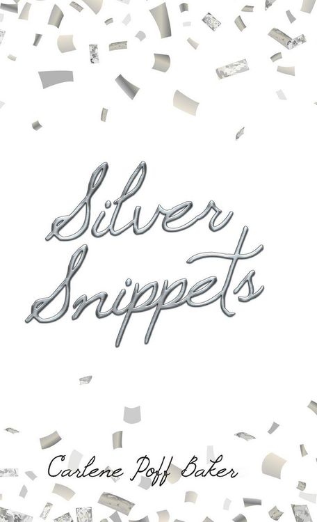 Produktbild: Silver Snippets