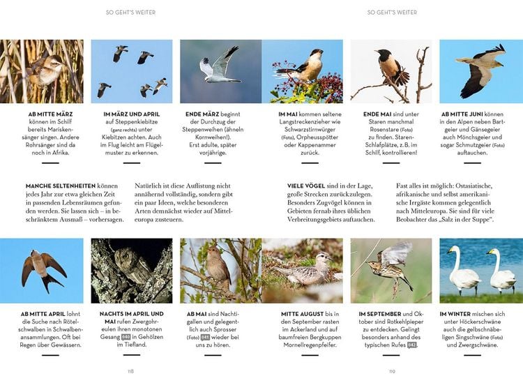 Produktbild: V&ouml;gel beobachten