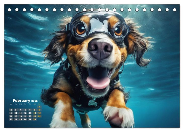 Produktbild: Dogs: intrepid swimmers (Desk Calendar 2026 DIN A5 landscape), CALVENDO 12 Month DeskCalendar