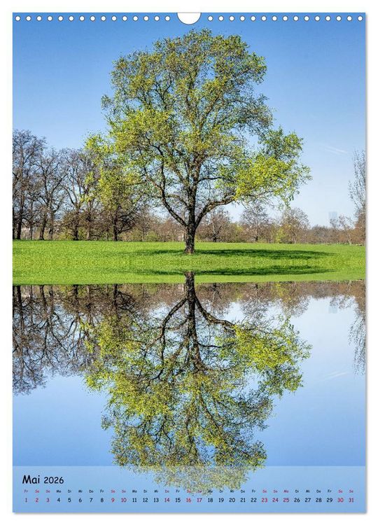 Produktbild: Spiegelb&auml;ume (Wandkalender 2026 DIN A3 hoch), CALVENDO Monatskalender