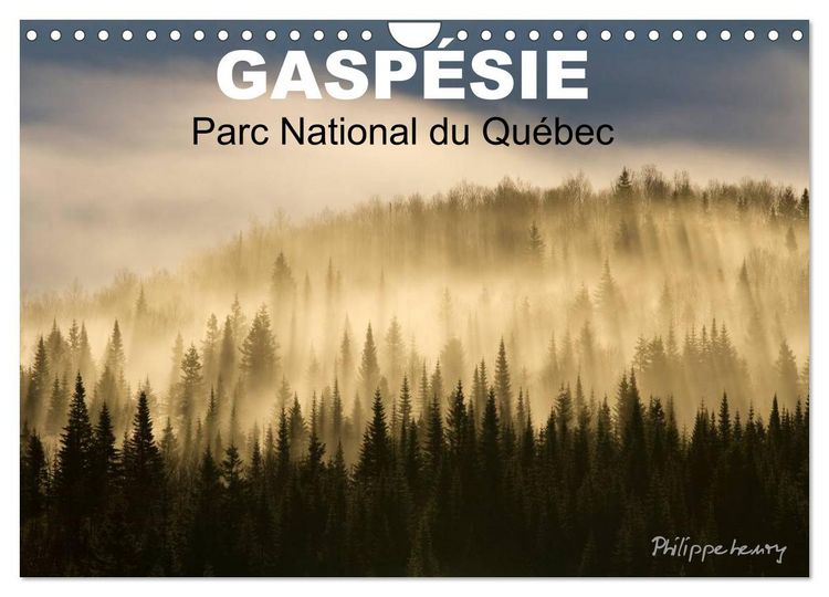 Produktbild: GASP&Eacute;SIE. Parc National du Qu&eacute;bec (Calendrier mural 2026 DIN A4 vertical), CALVENDO calendrier mensuel