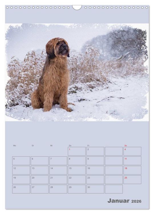 Produktbild: Hunde in Aquarell - Jahresplaner (Wandkalender 2026 DIN A3 hoch), CALVENDO Monatskalender