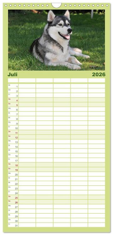 Produktbild: Familienplaner 2026 - Siberian Husky - der Urtyp mit 5 Spalten (Wandkalender, 21 x 45 cm) CALVENDO