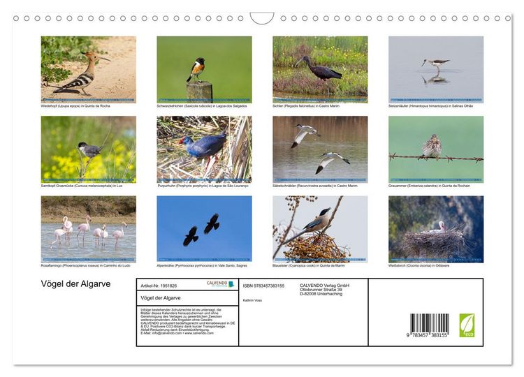 Produktbild: V&ouml;gel der Algarve (Wandkalender 2026 DIN A3 quer), CALVENDO Monatskalender
