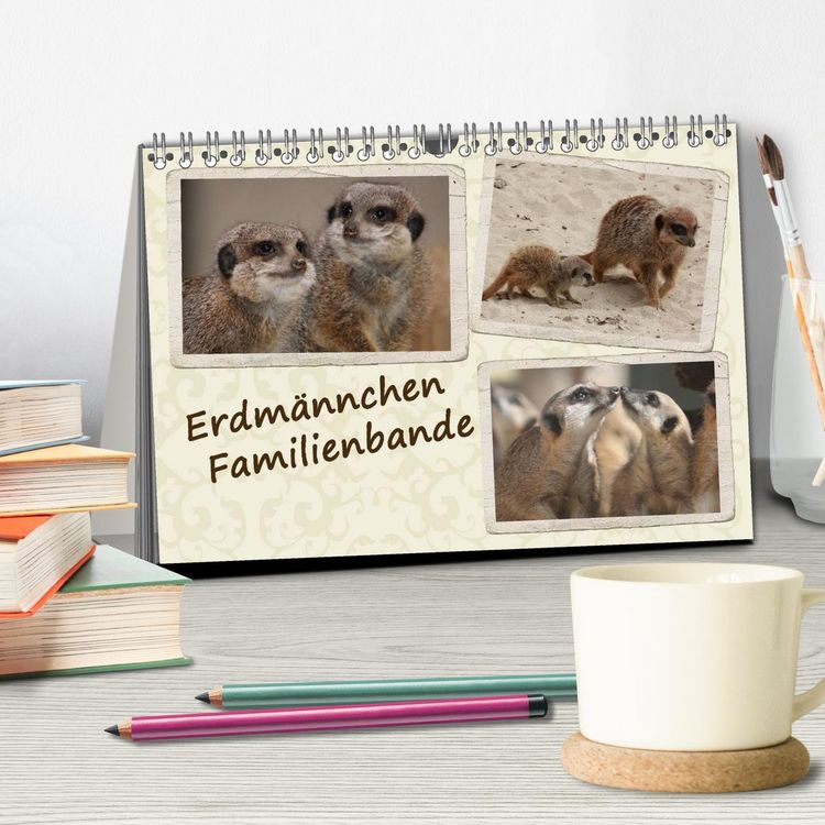 Produktbild: Erdm&auml;nnchen Familienbande (Tischkalender 2026 DIN A5 quer), CALVENDO Monatskalender
