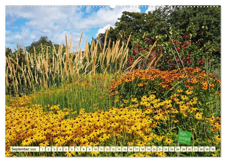 Produktbild: Der Hermannshof Das Parkjuwel in Weinheim an der Bergstra&szlig;e (hochwertiger Premium Wandkalender 2026 DIN A2 quer), Kunstdruck in Hochglanz