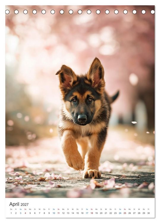 Produktbild: Seelenblick Sch&auml;ferhund (Tischkalender 2027 DIN A5 hoch), CALVENDO Monatskalender