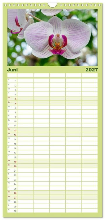 Produktbild: Familienplaner 2027 - Wunderbare Orchideen mit 5 Spalten (Wandkalender, 21 x 45 cm) CALVENDO