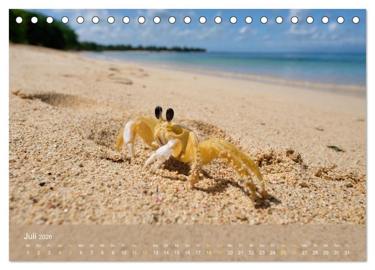 Produktbild: Guadeloupe - Karibische Traumstr&auml;nde (Tischkalender 2026 DIN A5 quer), CALVENDO Monatskalender