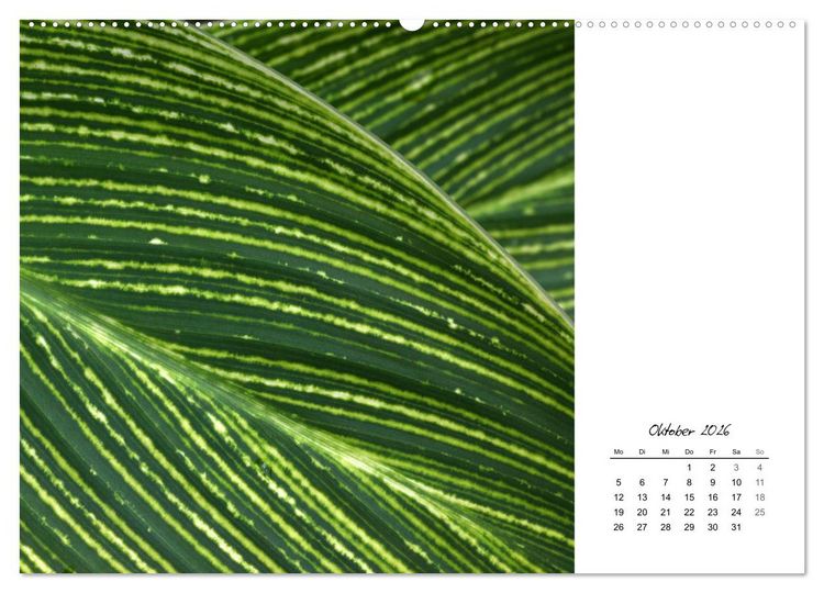 Produktbild: Blattkunst (hochwertiger Premium Wandkalender 2026 DIN A2 quer), Kunstdruck in Hochglanz