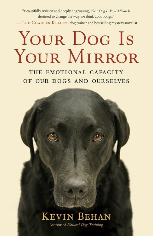 Produktbild: Your Dog is Your Mirror