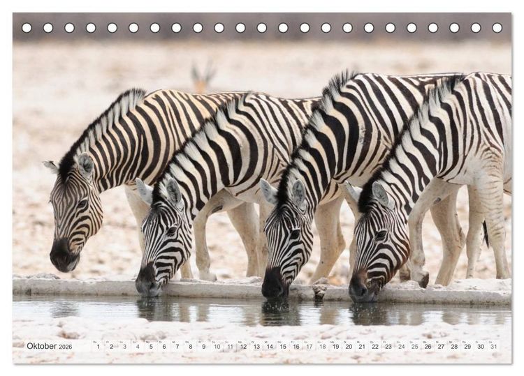 Produktbild: Afrikas Tierwelt Christian Heeb (Tischkalender 2026 DIN A5 quer), CALVENDO Monatskalender