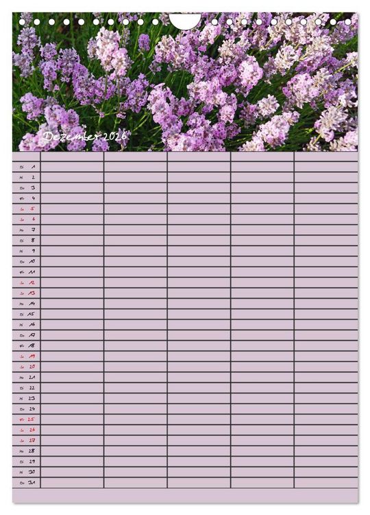 Produktbild: Naturzauber Lavendel - Familienplaner (Wandkalender 2026 DIN A4 hoch), CALVENDO Monatskalender