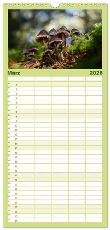 Produktbild: Familienplaner 2026 - Schwammerl Egerlinge Pilze mit 5 Spalten (Wandkalender, 21 x 45 cm) CALVENDO