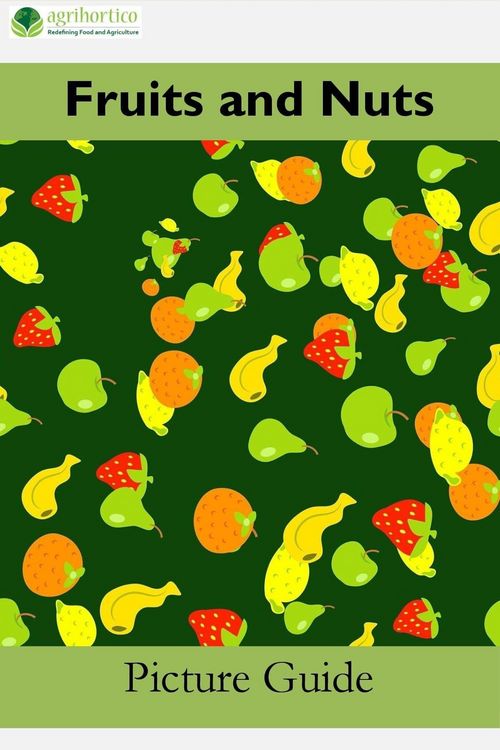 Produktbild: Fruits and Nuts: A Picture Guide