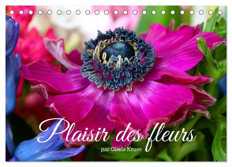 Produktbild: Plaisir des fleurs (Calendrier de bureau 2026 DIN A5 vertical), CALVENDO calendrier mensuel
