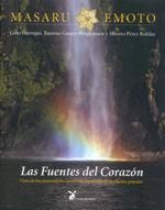 Produktbild: Las fuentes del coraz&oacute;n : gu&iacute;a de los manantiales curativos espa&ntilde;oles de tradici&oacute;n popular