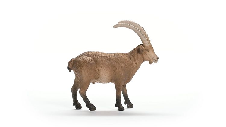 Produktbild: schleich&reg; Wild Life Steinbock 3,2cm