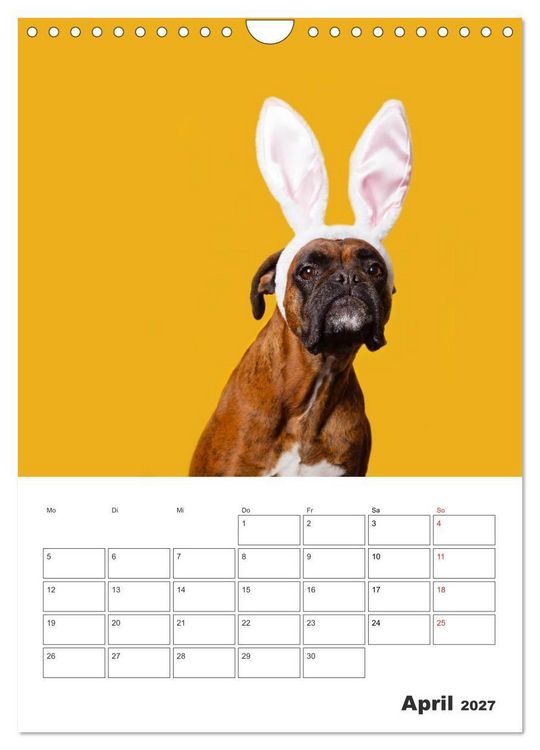 Produktbild: colorful world of boxer 2027 (Wandkalender 2027 DIN A4 hoch), CALVENDO Monatskalender