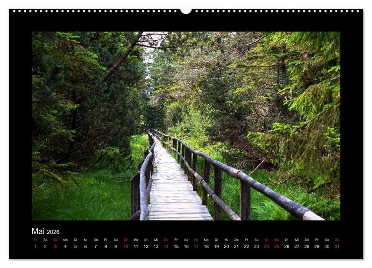 Produktbild: W&auml;lder, fotografiert auf vier Kontinenten (hochwertiger Premium Wandkalender 2026 DIN A2 quer), Kunstdruck in Hochglanz