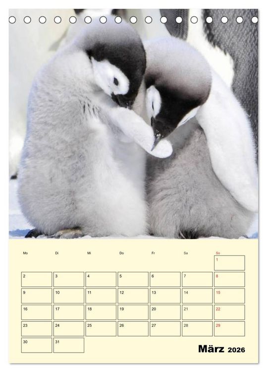 Produktbild: Pinguine. Wackeln im Thermo-Frack (Tischkalender 2026 DIN A5 hoch), CALVENDO Monatskalender