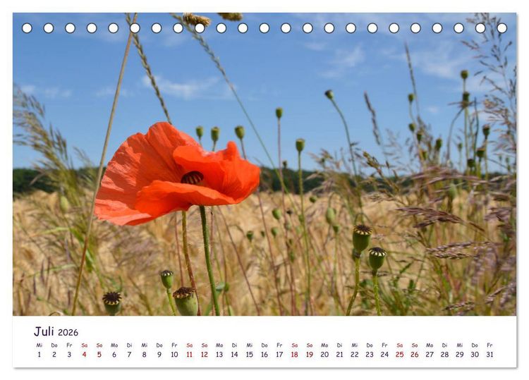 Produktbild: Natur und Landschaft Mecklenburg - Vorpommern 2026 (Tischkalender 2026 DIN A5 quer), CALVENDO Monatskalender