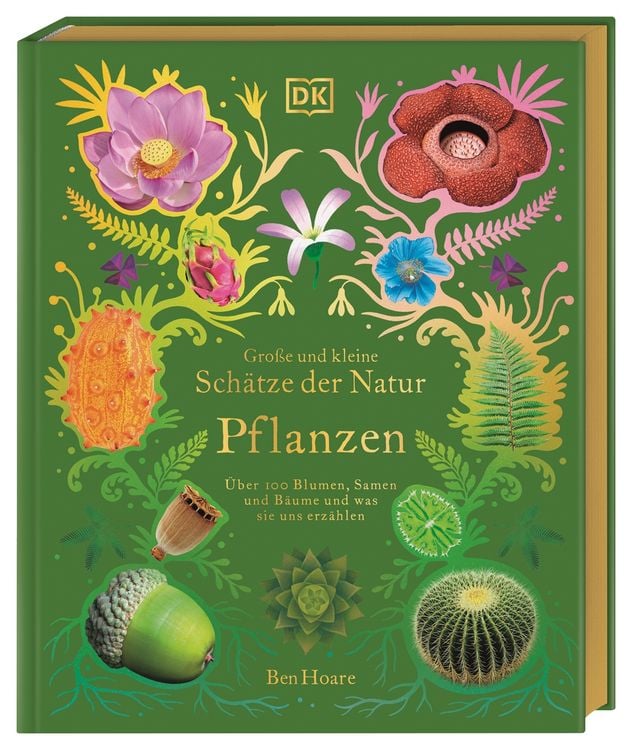 Produktbild: Gro&szlig;e und kleine Sch&auml;tze der Natur. Pflanzen