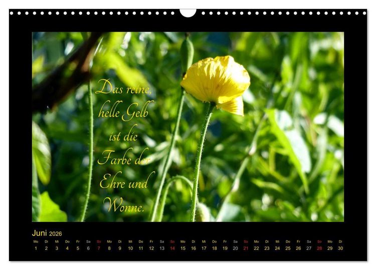 Produktbild: Goethes Gelb Gedanken zur Farbe (Wandkalender 2026 DIN A3 quer), CALVENDO Monatskalender