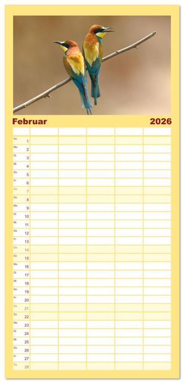 Produktbild: Familienplaner 2026 - Bunte Flieger mit 5 Spalten (Wandkalender, 21 x 45 cm) CALVENDO