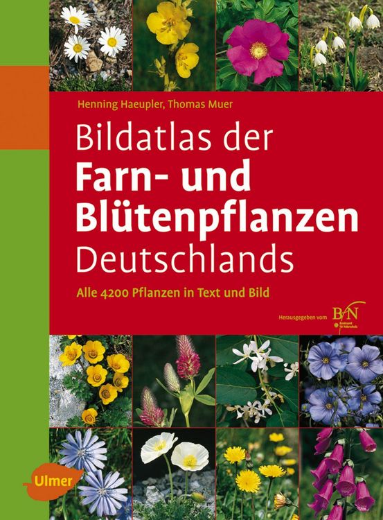 Produktbild: Bildatlas der Farn- und Bl&uuml;tenpflanzen Deutschlands