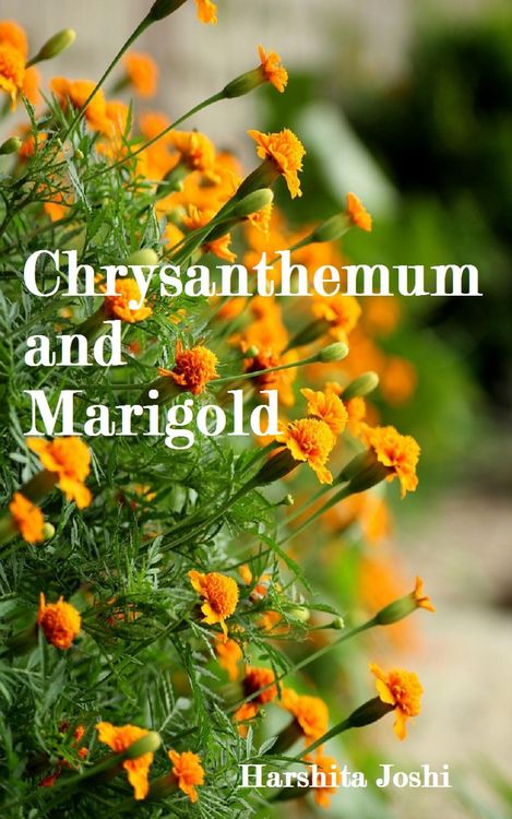 Produktbild: Chrysanthemum and Marigold