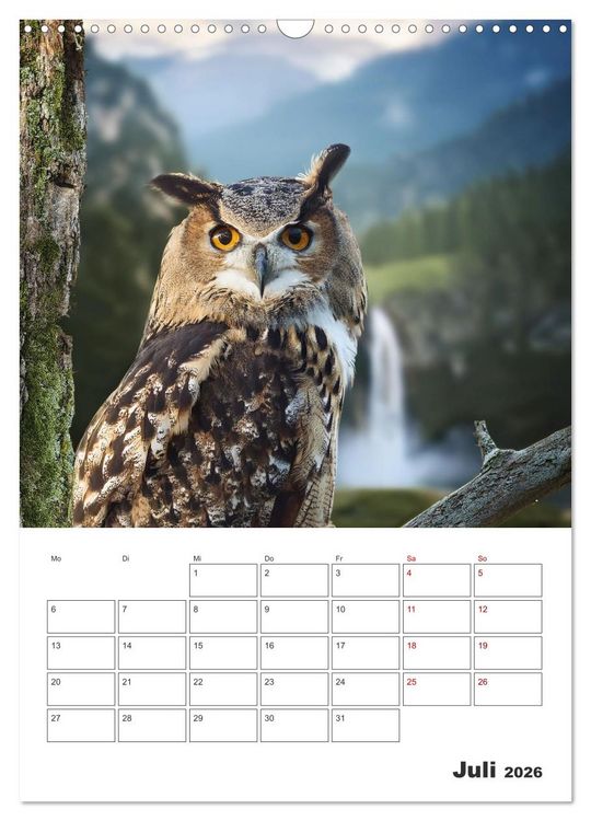 Produktbild: Eulen und K&auml;uze - Diese Wesen der Nacht (Wandkalender 2026 DIN A3 hoch), CALVENDO Monatskalender