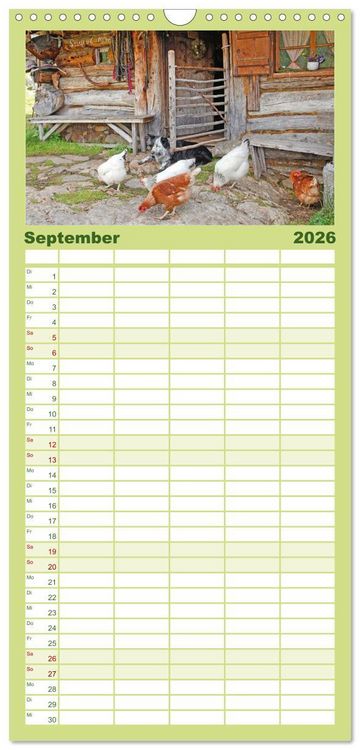 Produktbild: Familienplaner 2026 - Alte Zeitzeugen mit 5 Spalten (Wandkalender, 21 x 45 cm) CALVENDO
