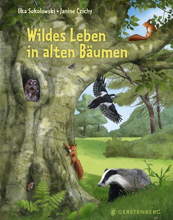 Produktbild: Wildes Leben in alten Bäumen