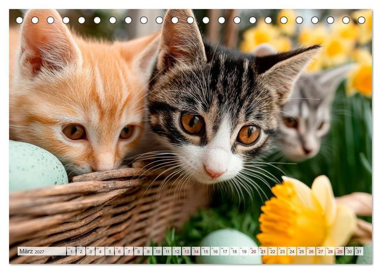 Produktbild: Katzen - Jeder Moment ein Abenteuer (Tischkalender 2027 DIN A5 quer), CALVENDO Monatskalender