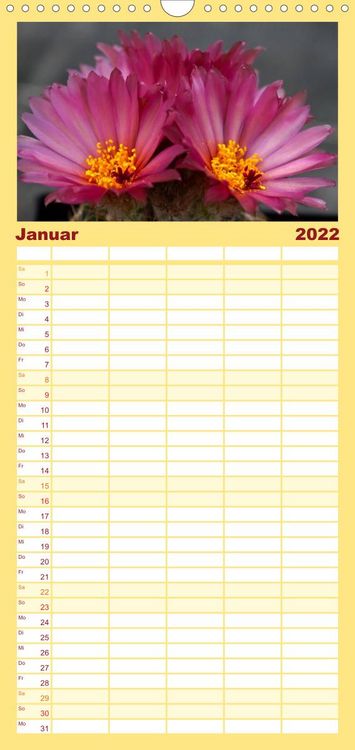 Produktbild: Bl&uuml;tensymphonie - Kakteen und Sukkulenten - Familienplaner hoch (Wandkalender 2022 , 21 cm x 45 cm, hoch)