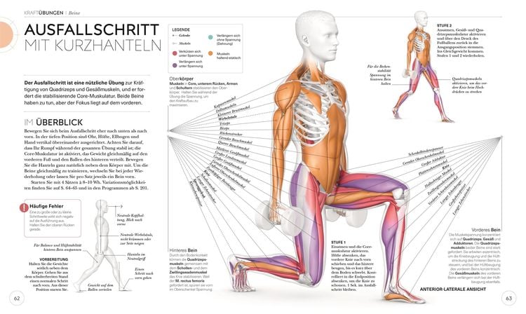 Krafttraining – Die Anatomie verstehen