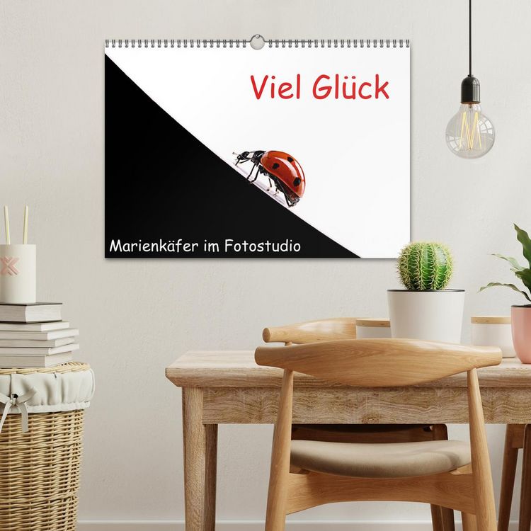 Produktbild: Viel Gl&uuml;ck - Marienk&auml;fer im Fotostudio (Wandkalender 2026 DIN A3 quer), CALVENDO Monatskalender