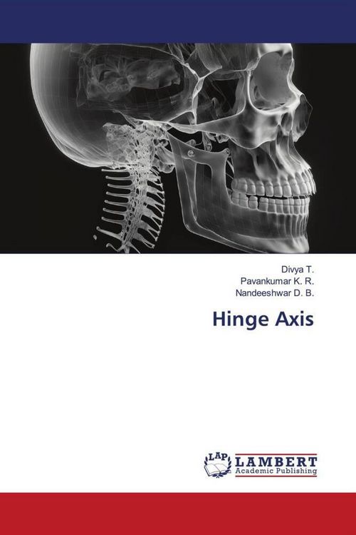 Produktbild: Hinge Axis