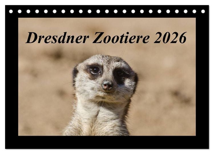 Produktbild: Dresdner Zootiere 2026 (Tischkalender 2026 DIN A5 quer), CALVENDO Monatskalender
