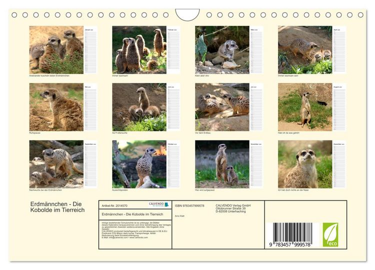 Produktbild: Erdm&auml;nnchen - Die Kobolde im Tierreich (Wandkalender 2026 DIN A4 quer), CALVENDO Monatskalender