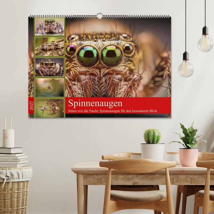 Produktbild: Spinnenaugen (Wandkalender 2027 DIN A2 quer), CALVENDO Monatskalender