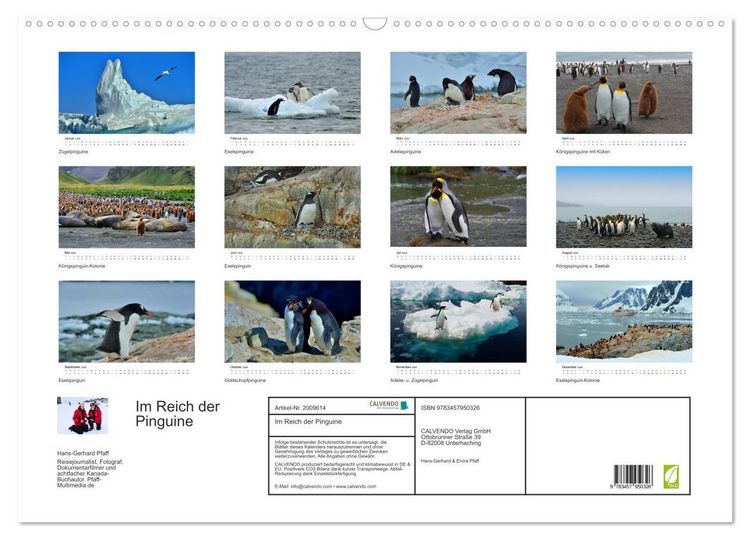 Produktbild: Im Reich der Pinguine (Wandkalender 2026 DIN A2 quer), CALVENDO Monatskalender