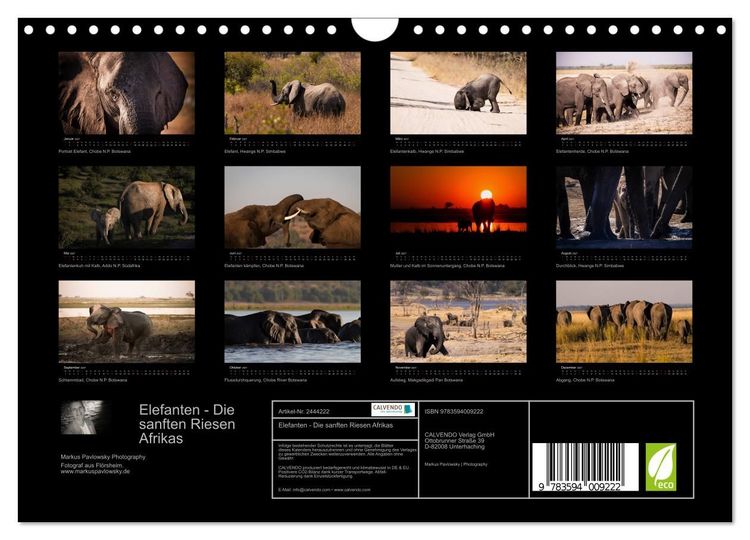 Produktbild: Elefanten - Die sanften Riesen Afrikas (Wandkalender 2027 DIN A4 quer), CALVENDO Monatskalender