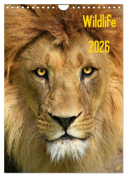 Produktbild: Wildlife 2026 (Wandkalender 2026 DIN A4 hoch), CALVENDO Monatskalender