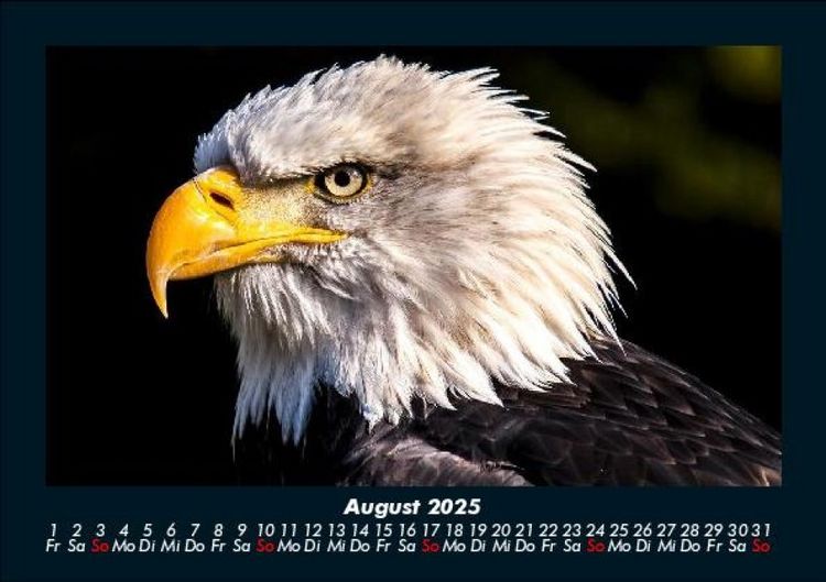 Produktbild: Adler 2025 Fotokalender DIN A5