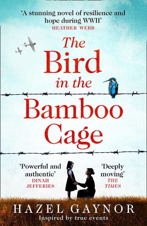Produktbild: The Bird in the Bamboo Cage