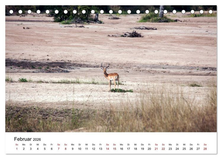 Produktbild: Sambia und der Sambesi (Tischkalender 2026 DIN A5 quer), CALVENDO Monatskalender