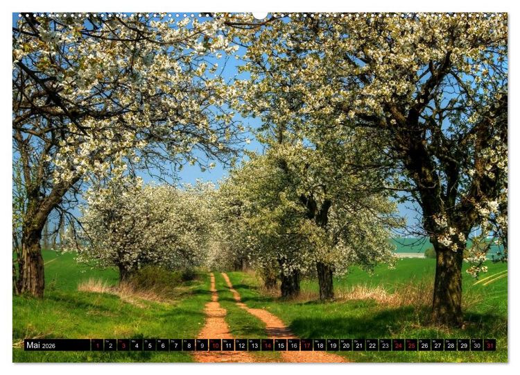 Produktbild: Harz Landschaften (hochwertiger Premium Wandkalender 2026 DIN A2 quer), Kunstdruck in Hochglanz