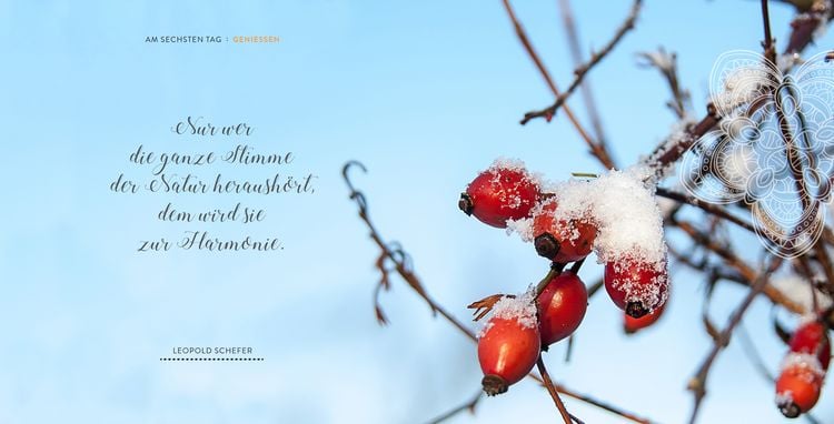 Produktbild: Sieben Tage Harmonie